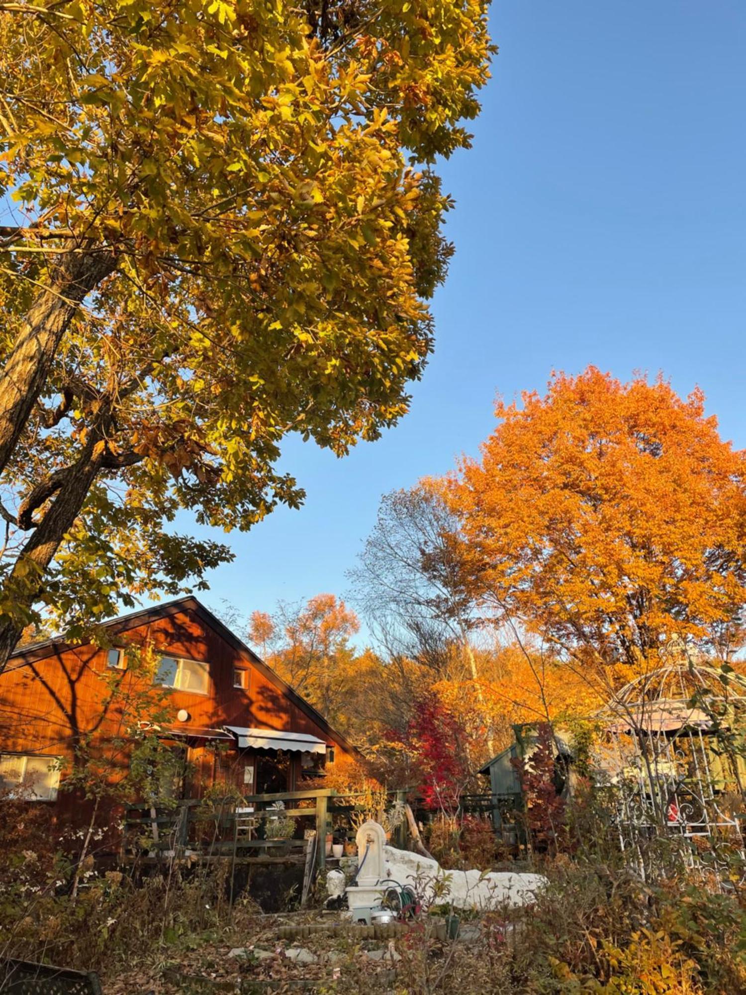 Gallery Hara And Guest House Exterior photo